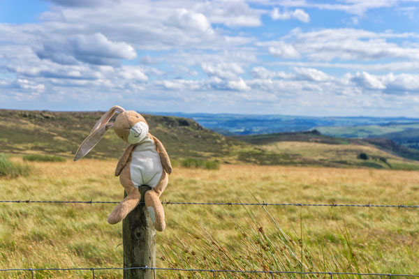 Peak District, Harry